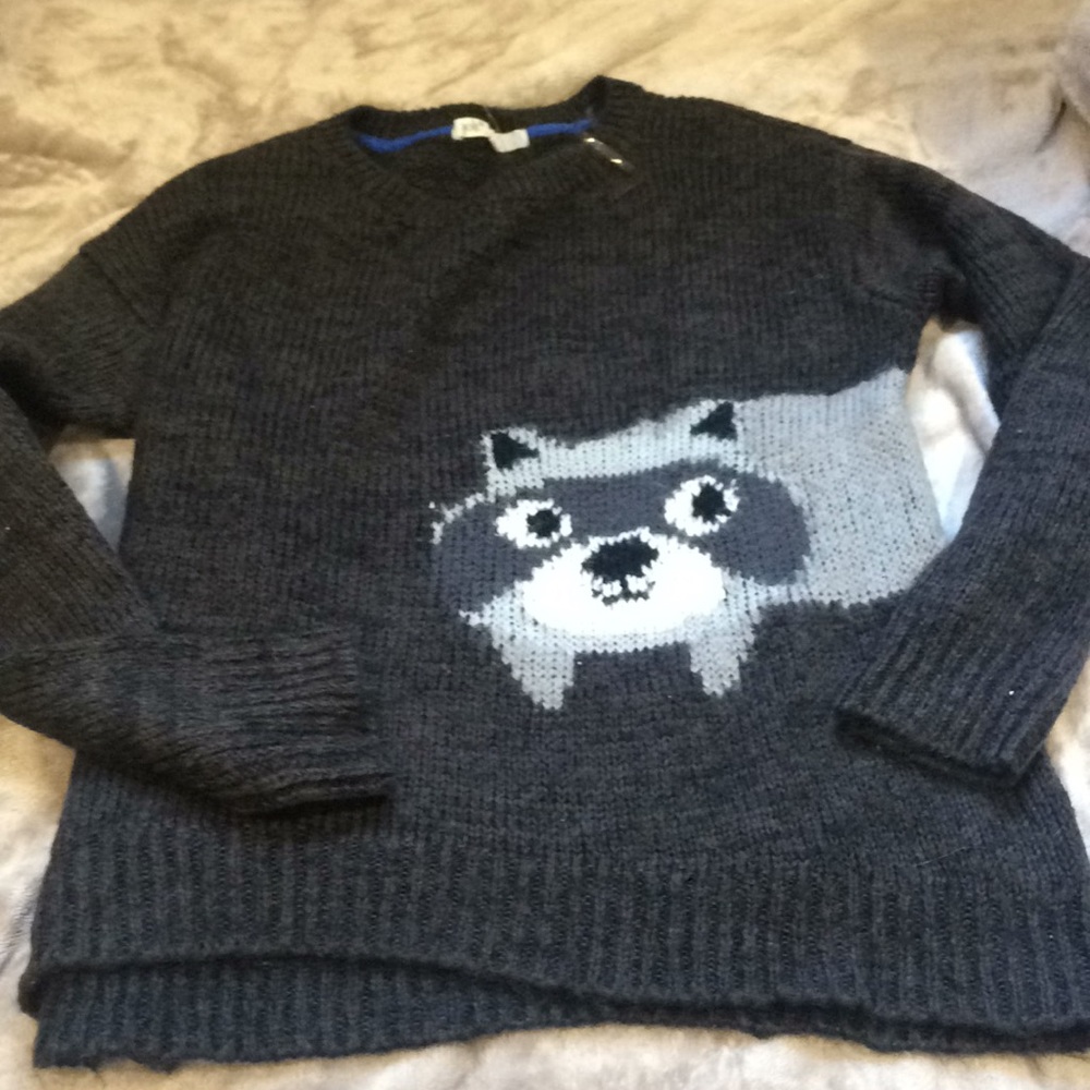 Raccoon woolen sweater
